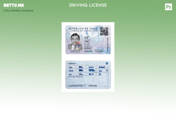 Модерен стил Чиле DL шаблон